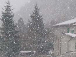foto nevicata del 26 Gennaio 2005 3